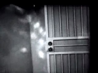 John Frusciante Murders