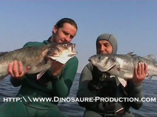 DVD Chasseurs d'émotions [Extrait]