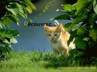 Une année passe trop vite profitez de la vie