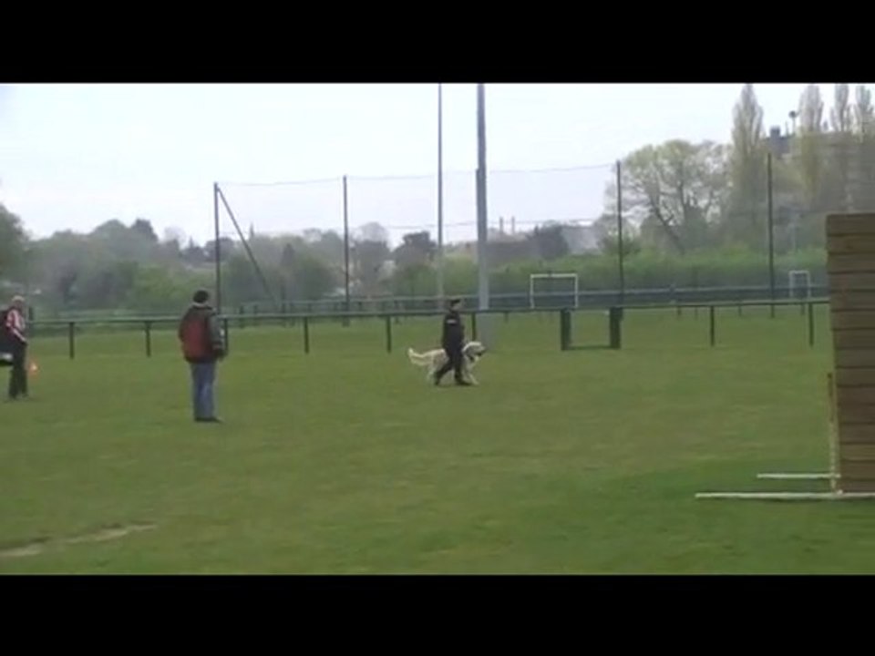 L'obtention du brevet d'obéissance