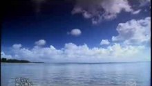 sky CF