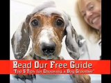 Calgary Dog Grooming - How to Choose a Groomer