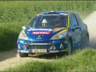 photos du rallye terre d'auxerre 2010