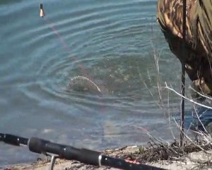 рыбалка видео