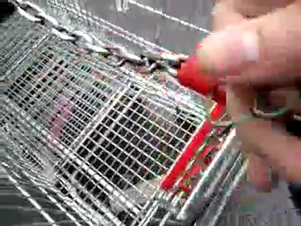 Vidéo0116