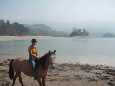 Tempête, Safran, Baïla et Zora au lac!