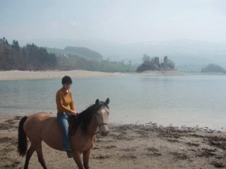Tempête, Safran, Baïla et Zora au lac!