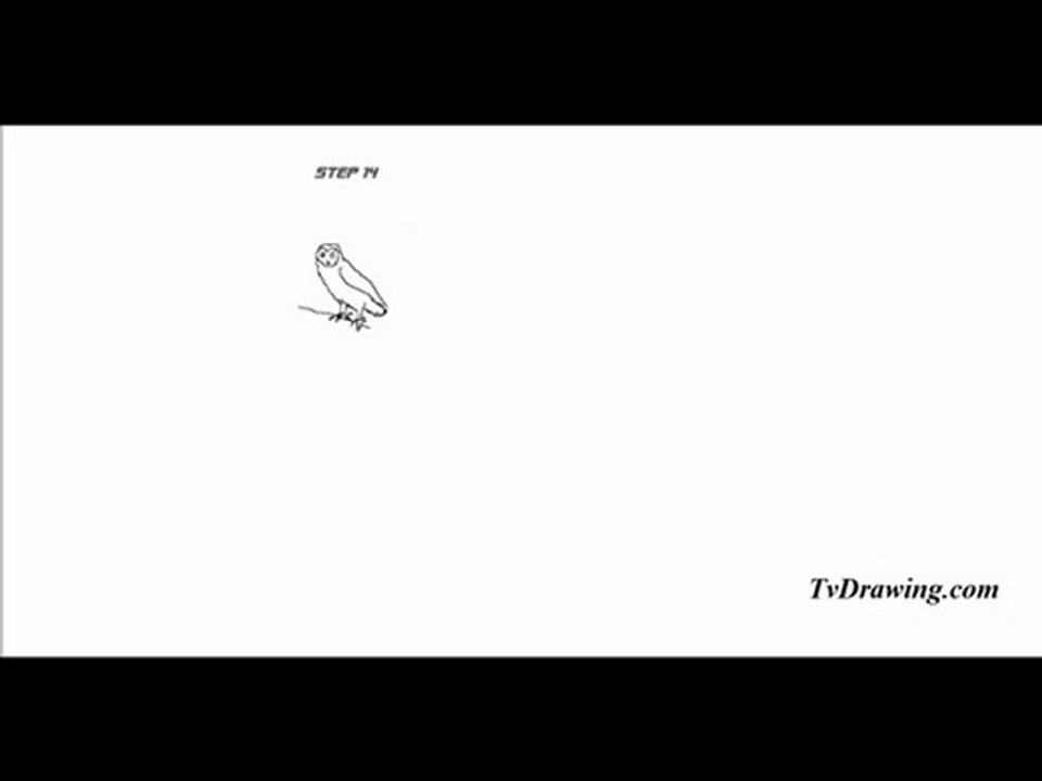 How to Draw a Realistic Simple Cartoon Owl Face Easy Step