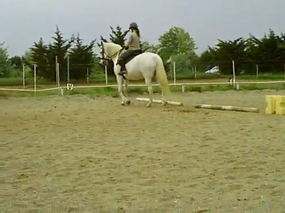 CLIP0051