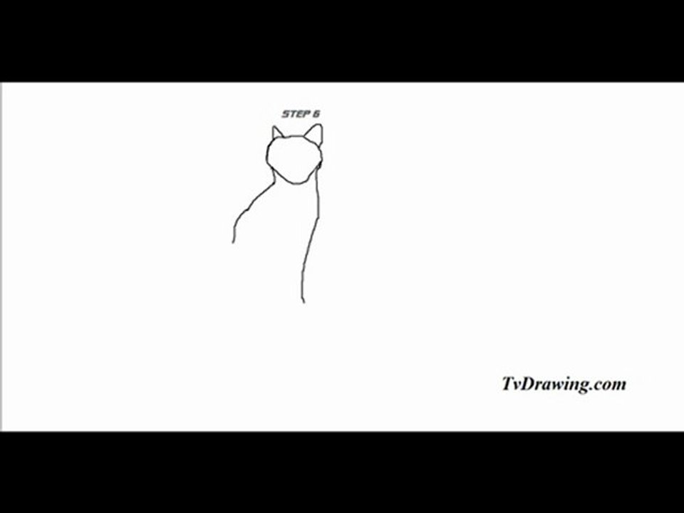 How to Draw a Cartoon Sitting Cat with Pencil Face Head Body