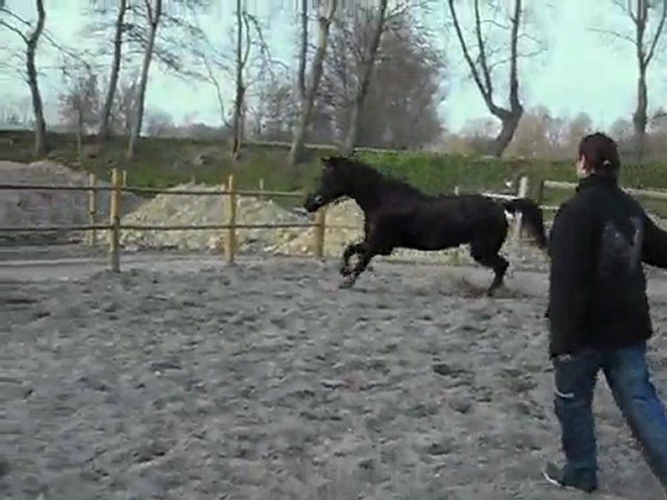 SAM_0223