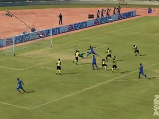 Vanuatu arret reflexe