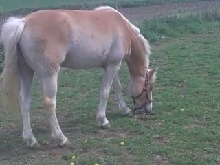 27 éme jours de vie de spirit