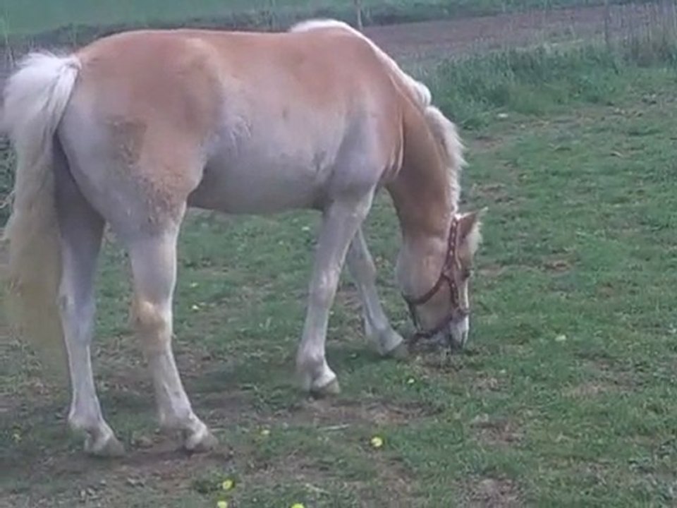 27 éme jours de vie de spirit