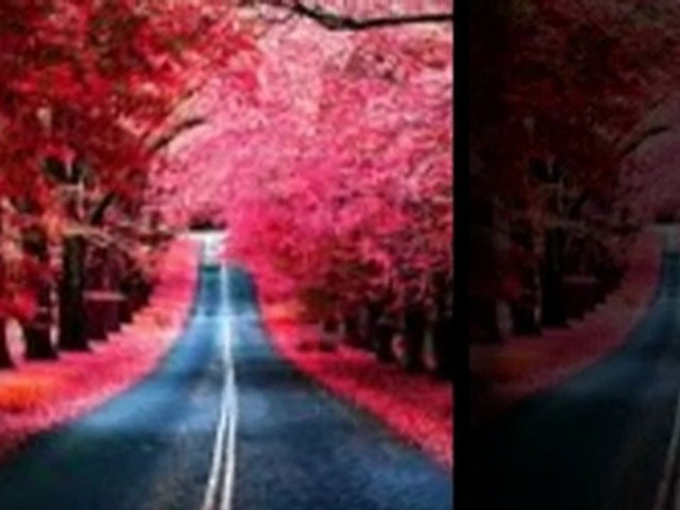 Opportunity ZOOM | How To Drive Massive Traffic