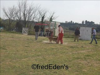 ring un poussan avril 2010 et derniere du ring 1