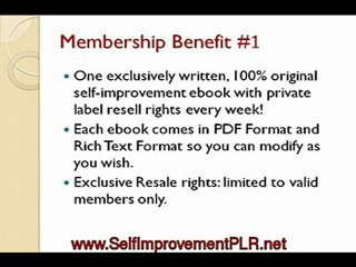 Tap Into The Most Profitable Niches With PLR Ebooks