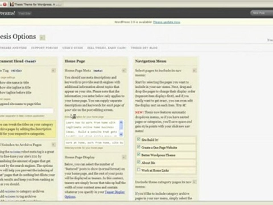 WordPress Thesis Theme!