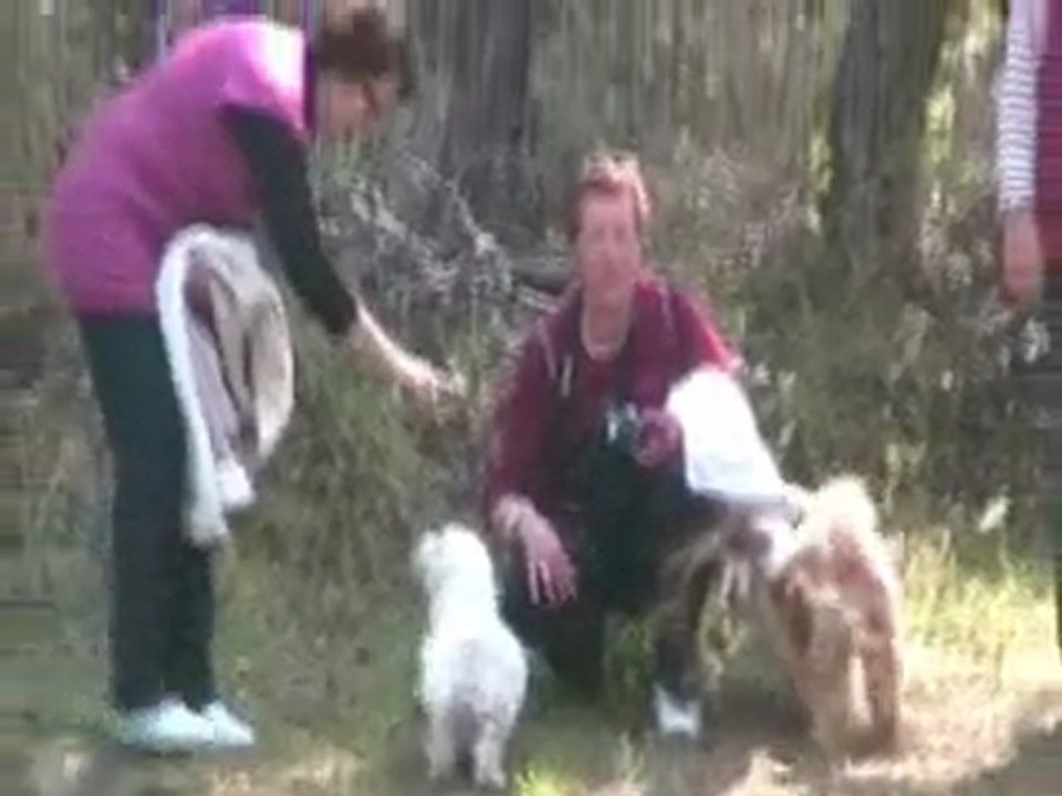 Balade Ton Chien - 160410 - Parée Grollier