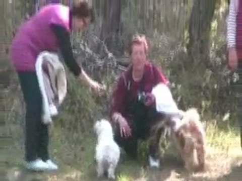 Balade Ton Chien - 160410 - Parée Grollier