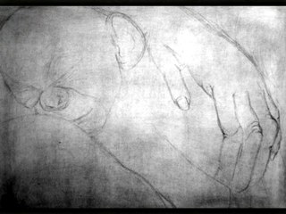 Spontaneous Portraits - Collection