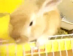 松下唯 2010-04-28 Matsushita Yui