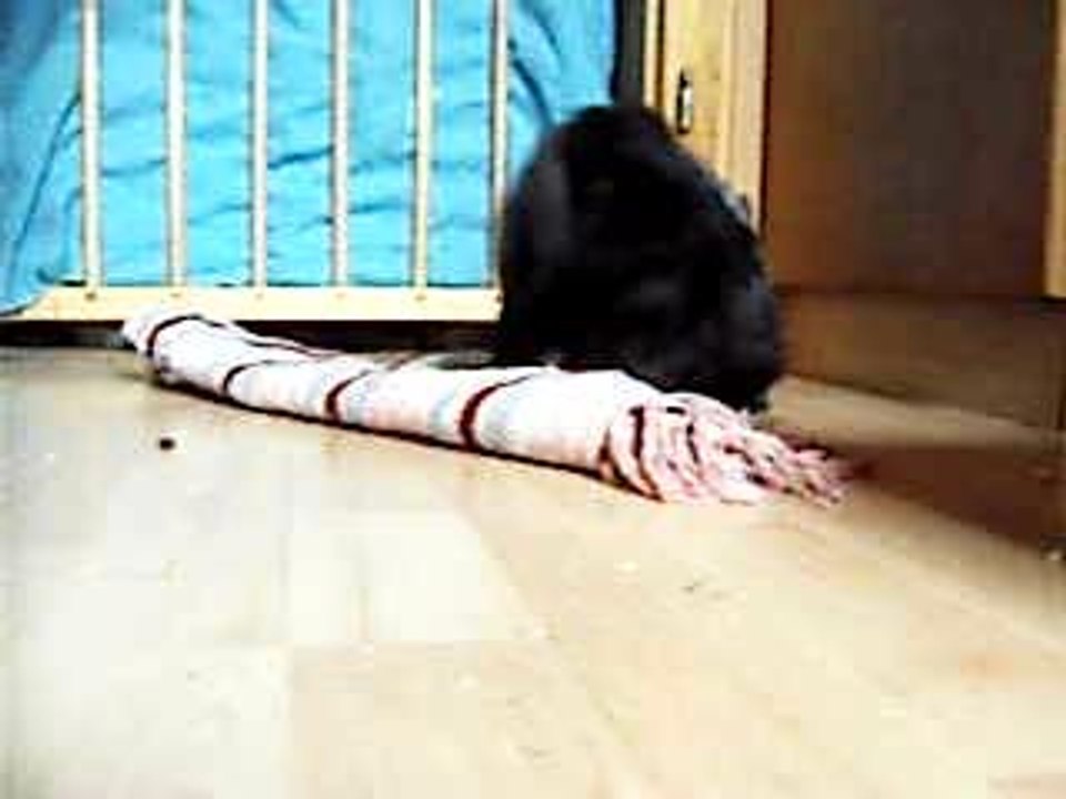 Yvi am 10.Juli`06 (1)