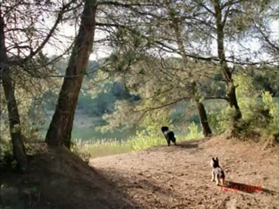 la nature à MEZE HERAULT