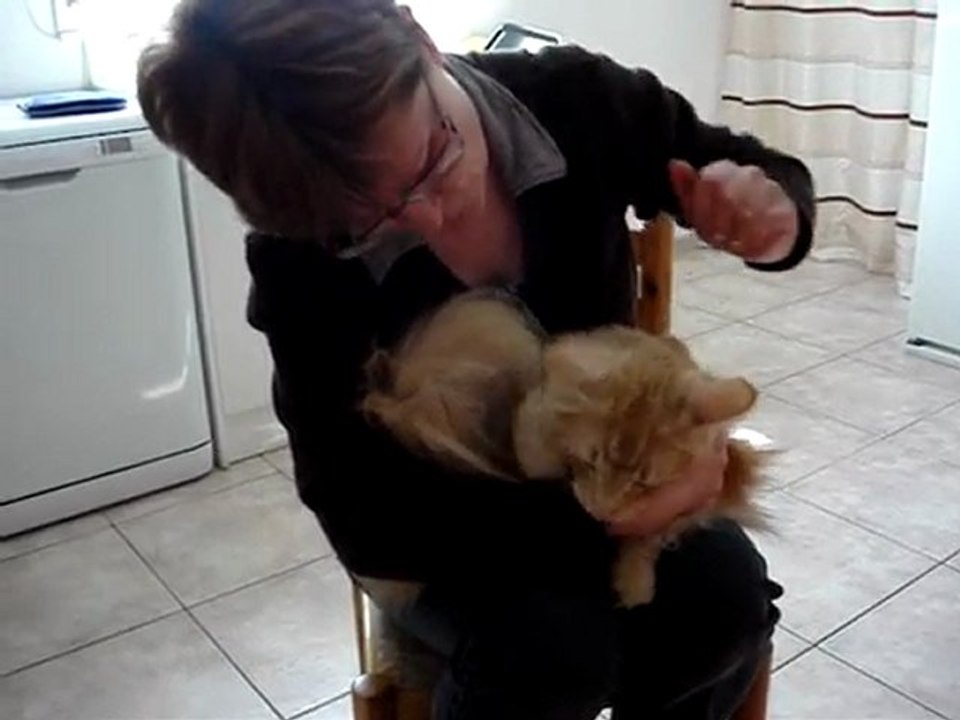 Regarder des oreilles de Cosmos