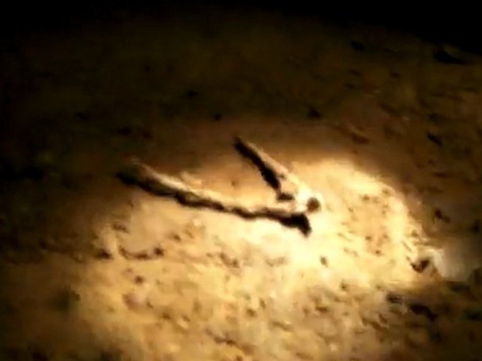 Assassin 1