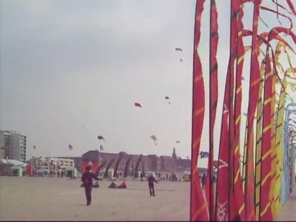 Rencontres internationales de cerfs-volants - Berck 2010