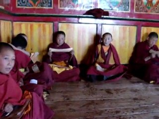 Litang Little monks