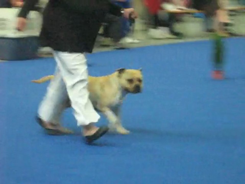 EXPO IRUN