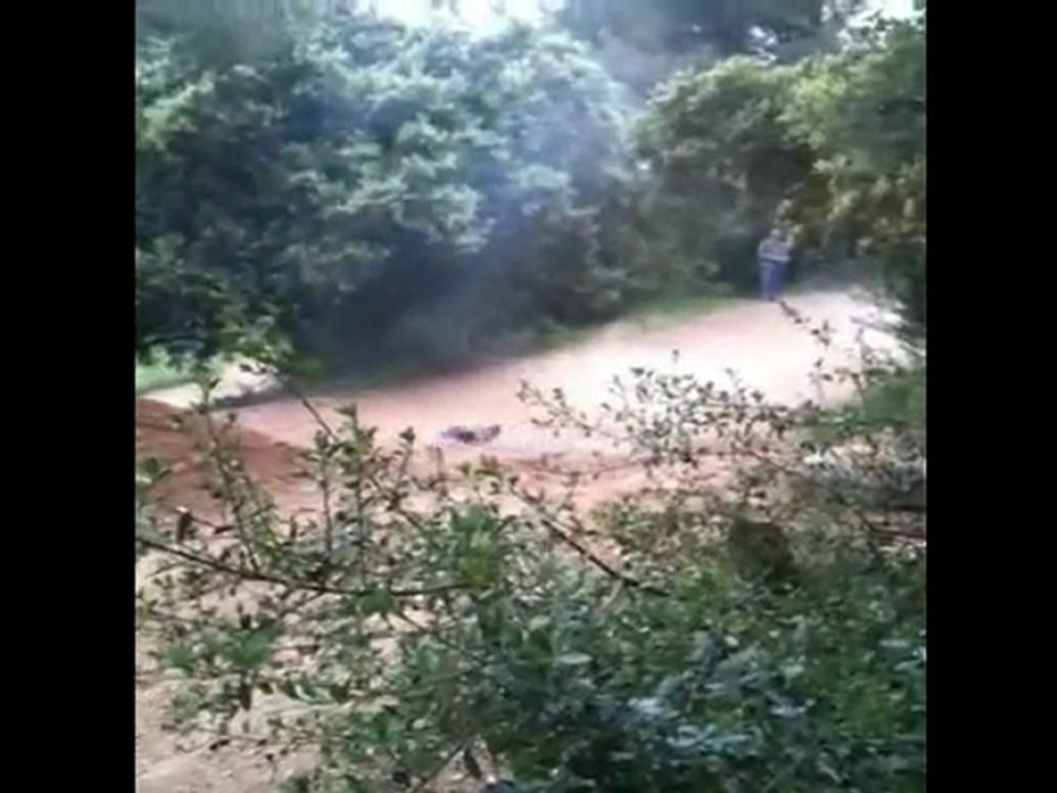 sorti truggy 1er mai