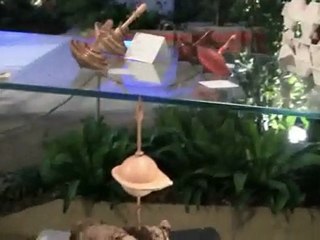 82ème foirexpo de niort - La quotidienne du 1er mai