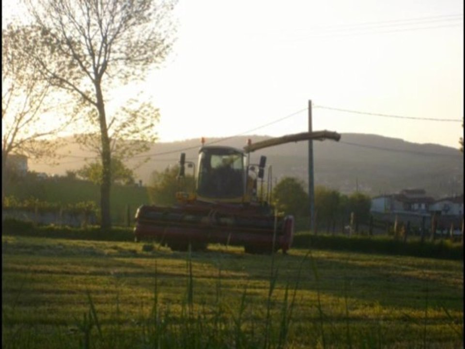 ensilage d'herbe 2010