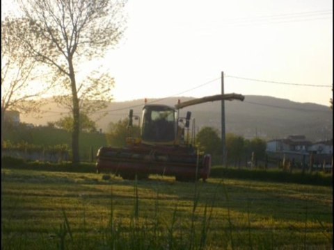 ensilage d'herbe 2010