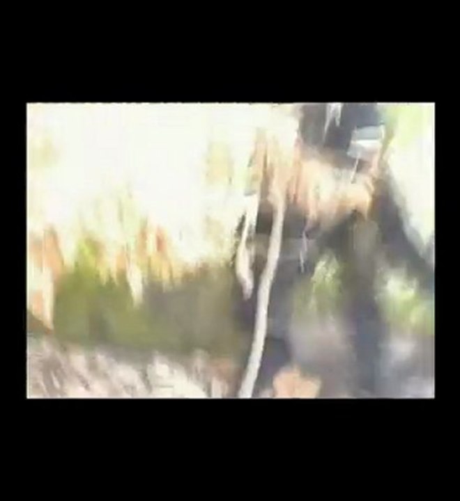 Hiver2010_3