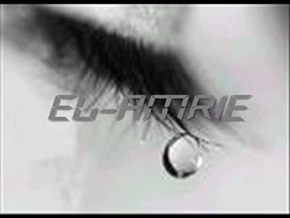 Amir ben Romdhan-jina Ledinia  bimouchwar 2010