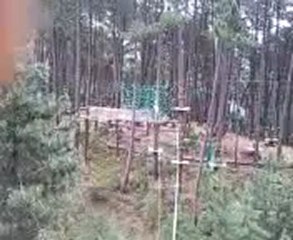 marco "goerges de la jungle"