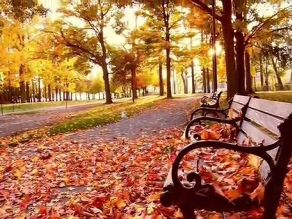 Grup Yansımalar - Sonbahar