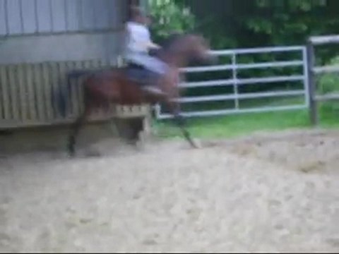 Perlani : galop a droite dans le manege