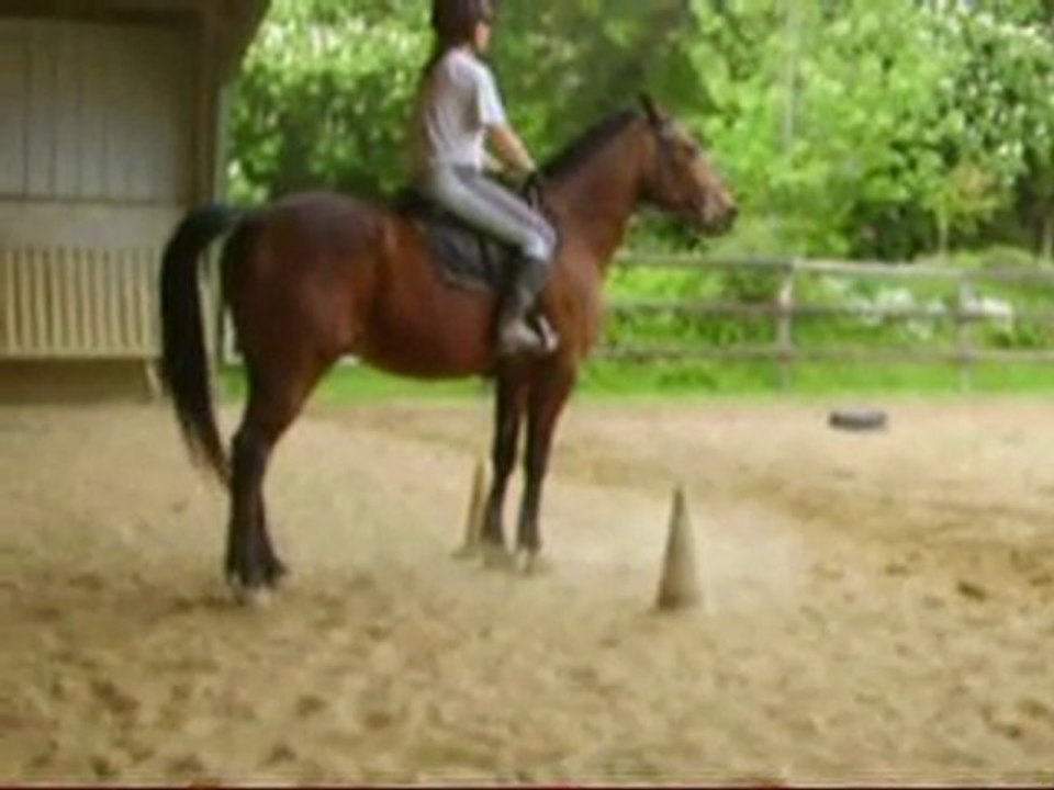 Perlani : slalom et arrêt