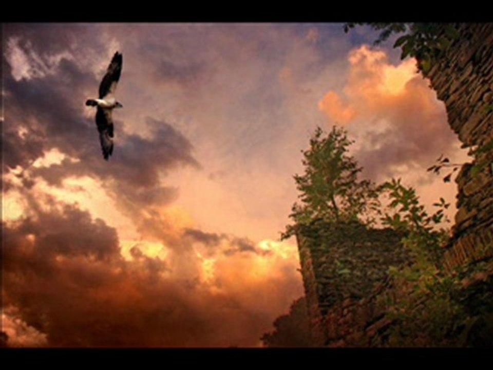 POUR UN MONDE MEILLEUR PAR BRUNO LEROY.