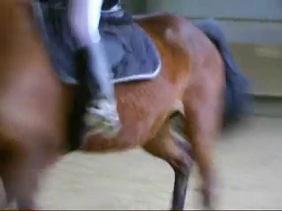 Perlani : escargot a droite dans le manege