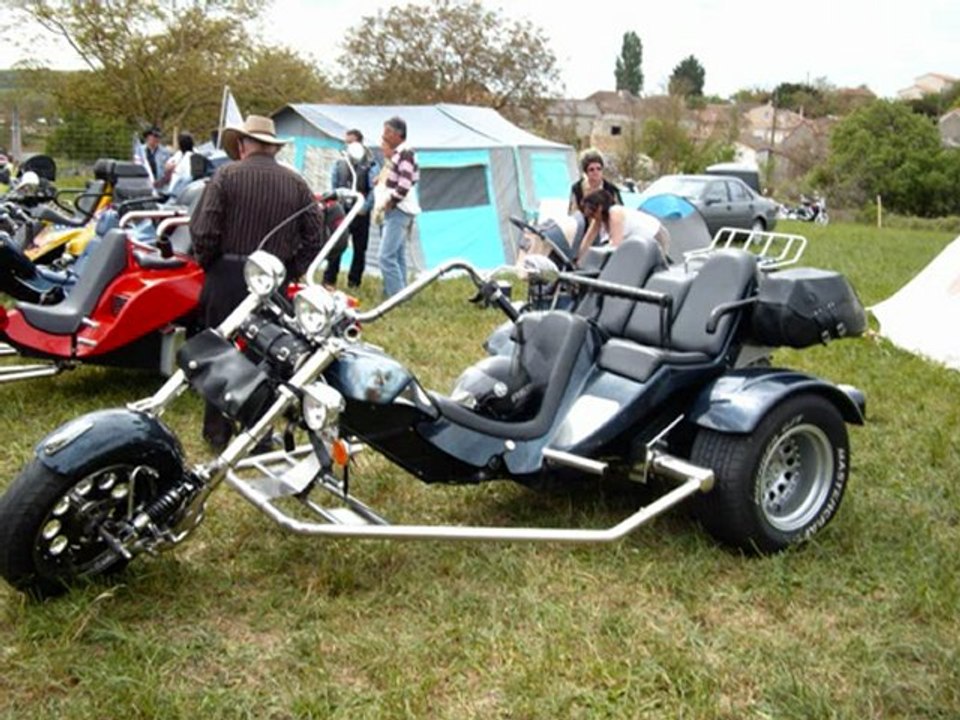 Valdiviénne 2010