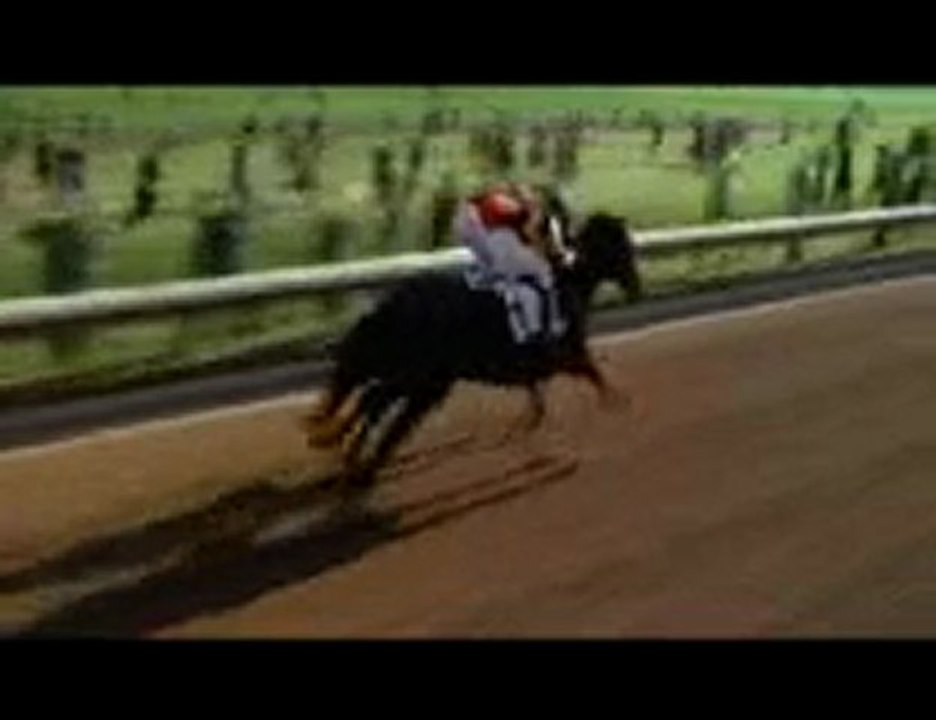 2 chevaux / 2 duels