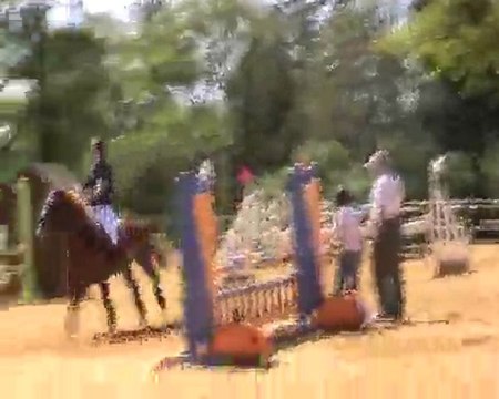 Neptune ==> CSO Régionnal = 4ème Club Elite poney