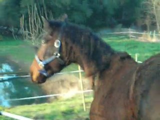 lâché d'INVULNERABLE le 24 janv 2009