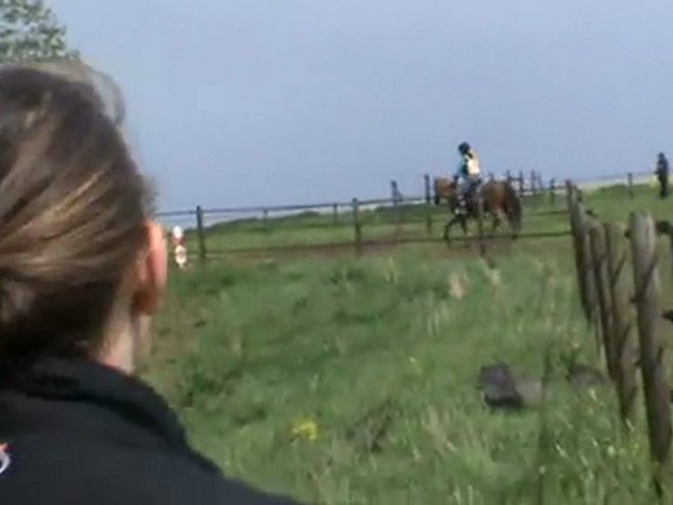 Trec (3)